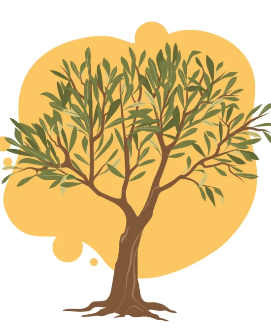 Illustrazione vettoriale di un albero di ulivo con chioma rigogliosa, simbolo di pace, speranza, benedizione, longevità e tradizione biblica.